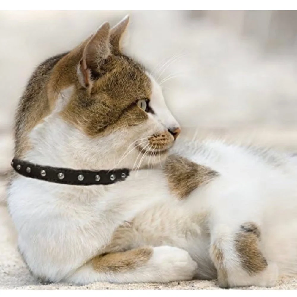 Safety Stretch Naturally Tanned Real Leather Quality Studded Cat Collar Red NWOT